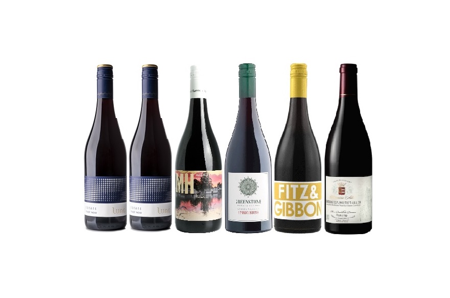 Pinot and friends six pack