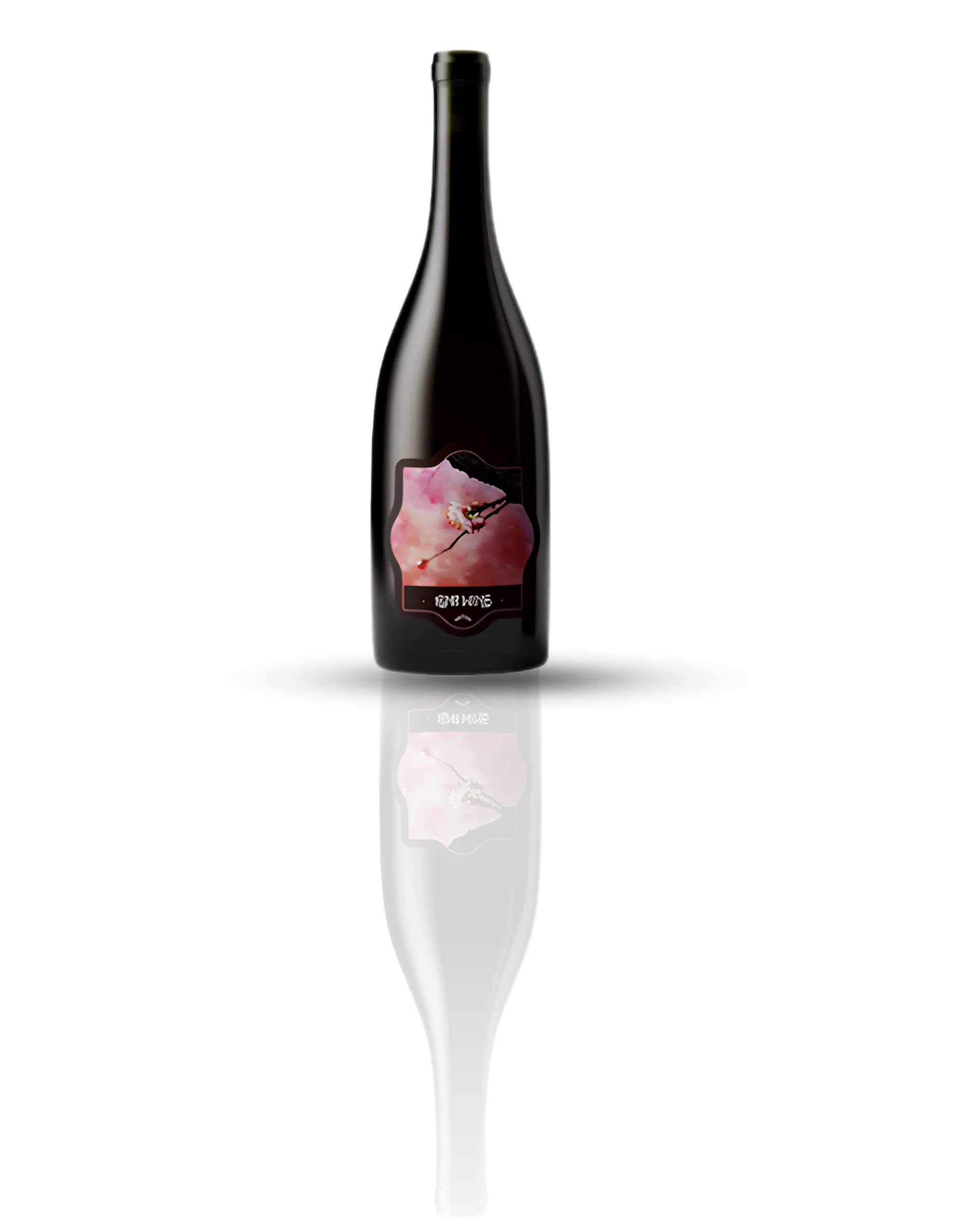 Rongo Prelude Aglianico 2025